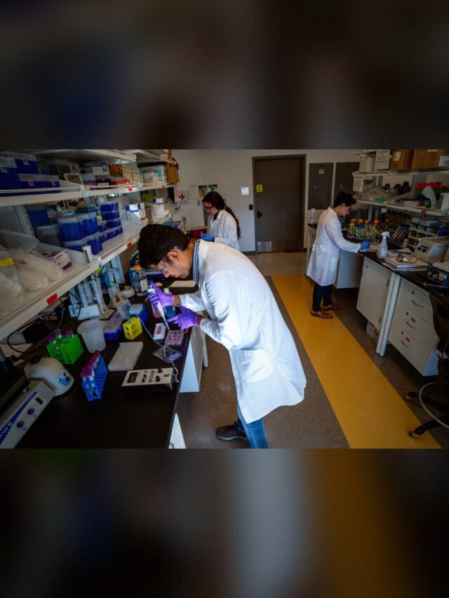Heard on the Street: Pharmaceutical companies are opting to make smaller biotech acquisitions. That’s great news for biotech stocks.